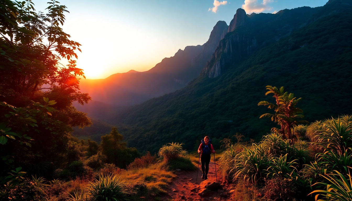 Trekking in lush Indonesian mountains: hikers traverse scenic jungle trails with trekking poles during sunrise.