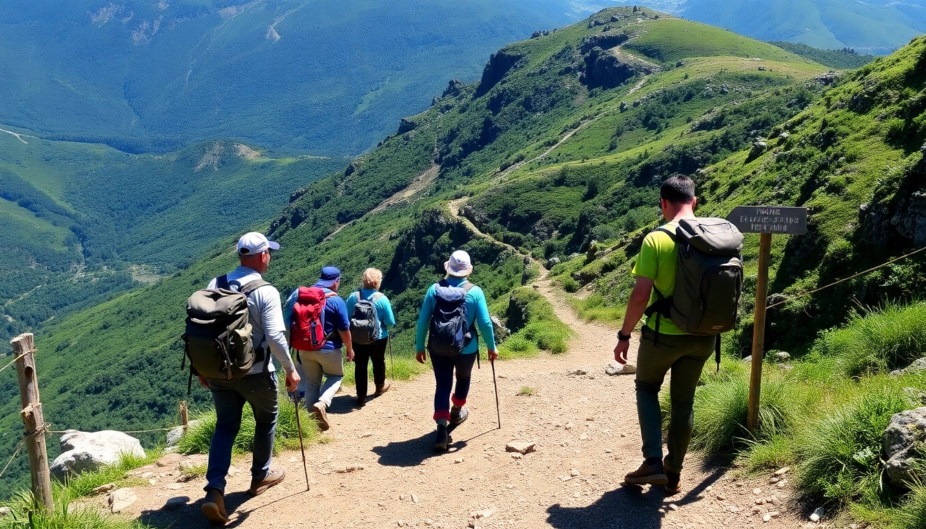 Guided trek through lush mountain landscape with a professional guide leading a small group, showcasing natural beauty and adventure.