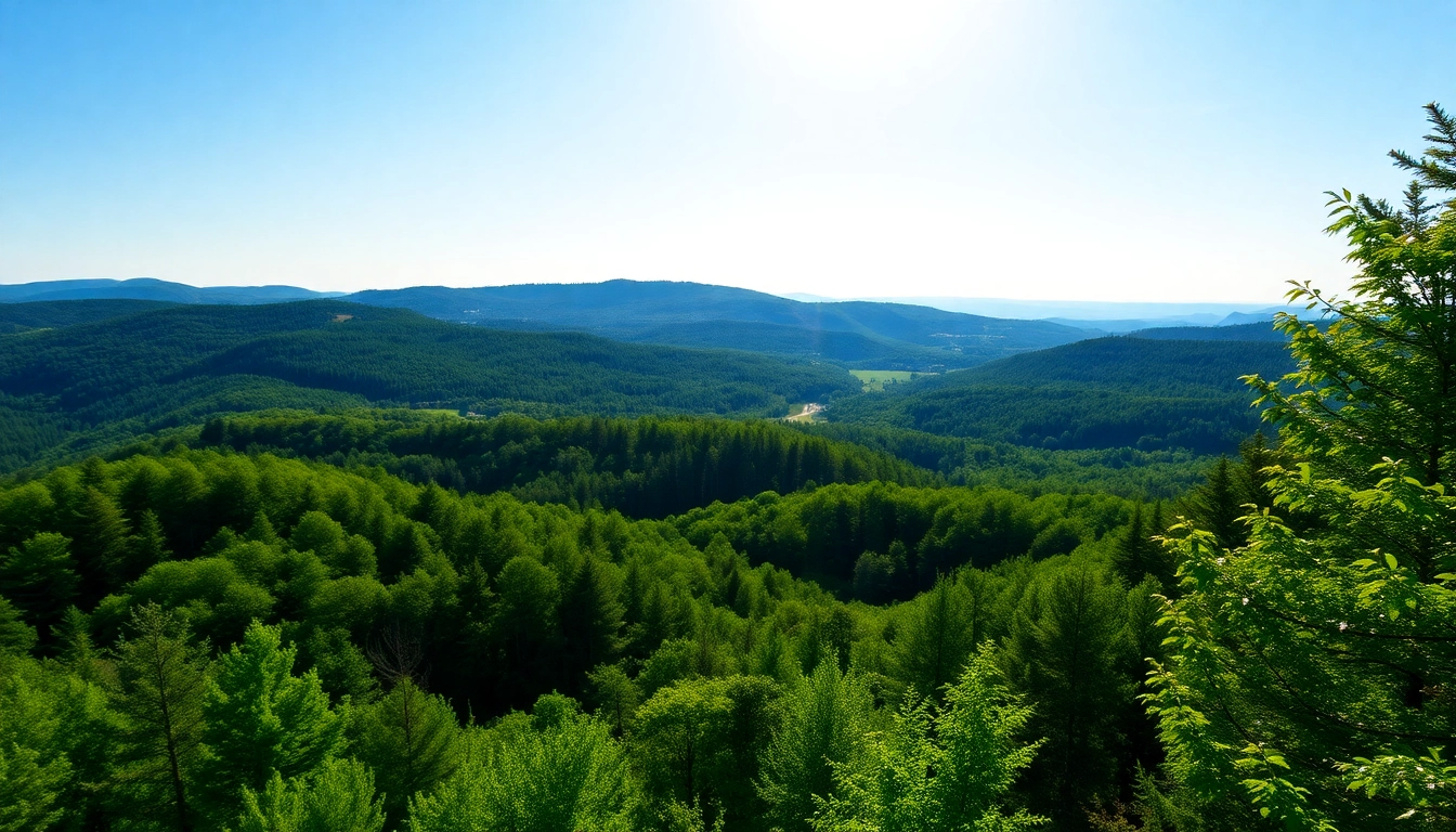 Ferienwohnung in der Nähe des Thüringer Waldes mit Weitblick auf die bewaldeten Hügel, ideal für Naturliebhaber und Erholungssuchende.